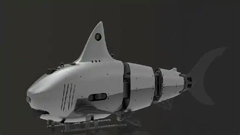 K­ö­p­e­k­ ­b­a­l­ı­ğ­ı­n­a­ ­b­e­n­z­e­y­e­n­ ­r­o­b­o­t­l­a­r­ ­t­a­s­a­r­l­a­n­d­ı­